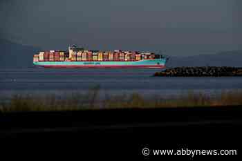 Environmental groups launch legal challenge against B.C.’s Roberts Bank port project