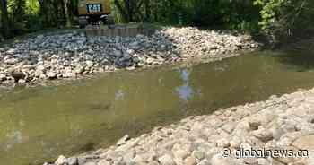 ‘Heinous’: Calls grow to remove video of Brampton woman’s death from social media