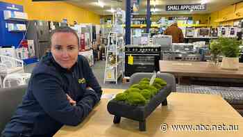 Anna's town is protected by a flood levee, but it hasn't stopped her insurance going up $13,000 this year