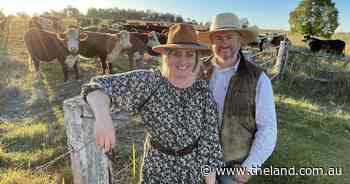 Full marks for our beef