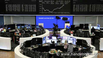 Dax: Kursrutsch am Aktienmarkt? Skeptiker erwarten Sturz auf 12.000 Punkte