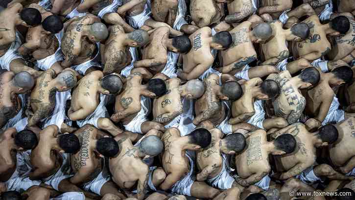 153 people arrested during El Salvador’s crackdown on street gangs die in custody, report says