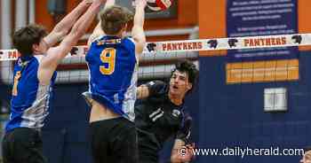 Boys volleyball: Lyons keeps grinding, sweeps Downers Grove North to win sectional title