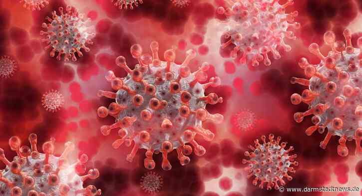 Die Zahlen des RKI vom 31.05.2023