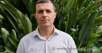 Improved affordability ahead says Rabobank