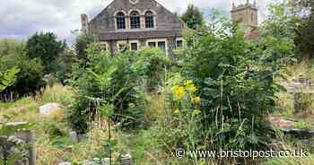 Overgrown graveyard in Kingswood 'resembles a jungle' says upset visitor