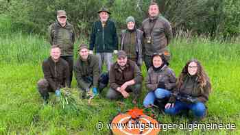 Wie Drohnen helfen, Rehkitze vor dem Mähtod zu bewahren
