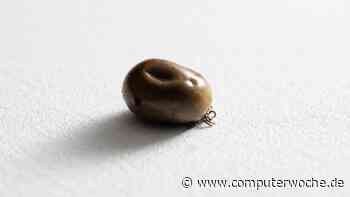 LLM-Probleme: Die parasitäre ChatGPT-Maschinerie