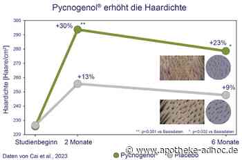 Pycnogenol® erhöht Haardichte bei Frauen in den Wechseljahren