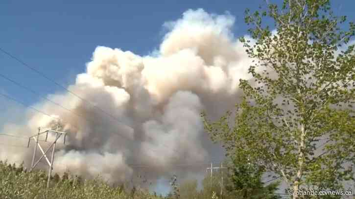 'For God's sake, stop burning': N.S. premier bans all activity in forests, urges residents to abide by burn ban