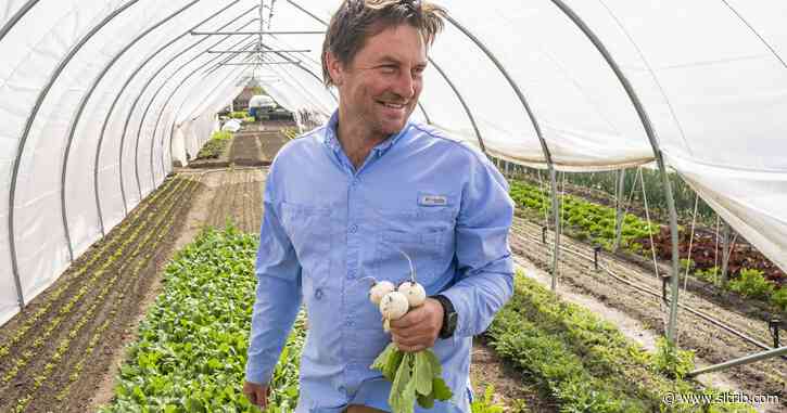 5 Utah farmers share how best to enjoy goods they sell at Salt Lake City’s Downtown Farmers Market