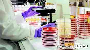 Novantamila euro per Flavia affetta da un melanoma. L'appello della donna