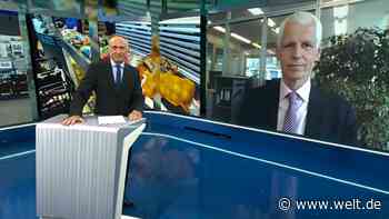 „Die Inflation geht zurück, sogar schneller als gedacht“