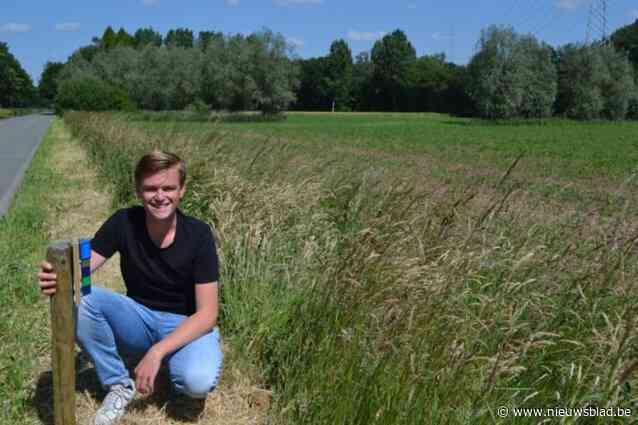 Gemeente en wildbeheerseenheid plaatsen opnieuw speciale spiegels: “Om te voorkomen dat reeën in het donker worden aangereden”