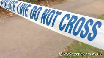 Selby: Police hunt for man who exposed himself in woods