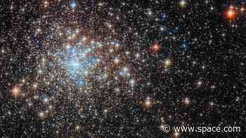 Hubble telescope hunts for a black hole among a brilliant field of stars (photo)