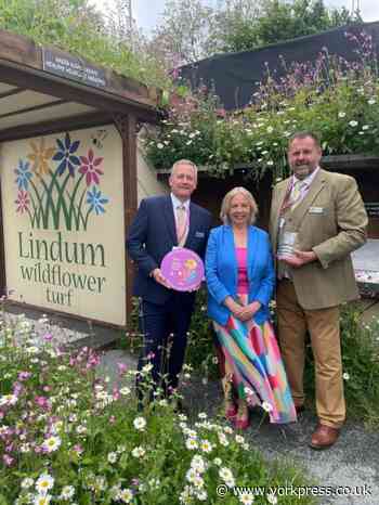 Lindum grows a wildflower winner at Chelsea Flower Show