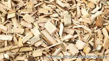 Gemeinderat Neubulach: Finales  Heizkonzept wird diskutiert