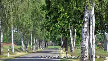 25 Prozent der Gifhorner Kreisstraßen in schlechtem Zustand