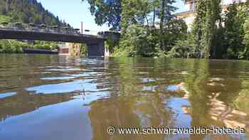 Trockenheit im Kreis Calw: Haben Nagold und Enz genug Wasser?