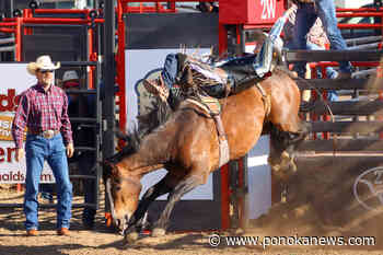 Stettler Steel Wheel Stampede set to kick off for another year