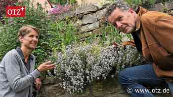 In Jena wird zum Tag der offenen Gärten eingeladen