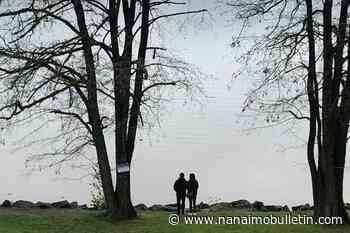 El Nino to bring warm temp west, cooler temp east: Canada weather forecast