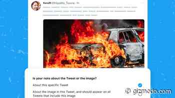 You Do It: Twitter Outsources AI Image Detection to Its Users