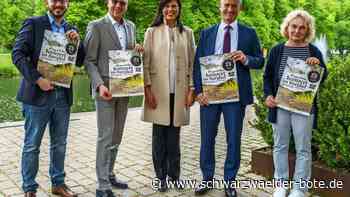 Burgkonzert Nagold: Der Aufwand hinter dem Klassik-Event ist enorm