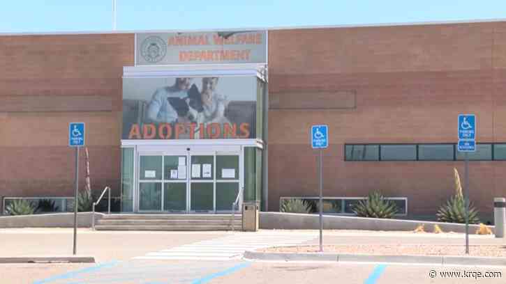 Animal Welfare offering free microchipping in June