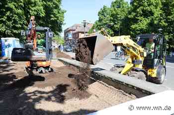 Blumenerde im Brunnenbecken an der Engelenschanze