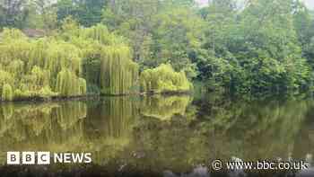 Knaresborough: Calls for polluted River Nidd to be designated bathing site