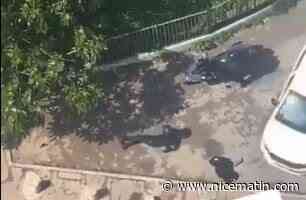 "Wesh il est touché, ça lui a tiré dessus!". La vidéo choc de la nouvelle fusillade dans le quartier des Moulins à Nice