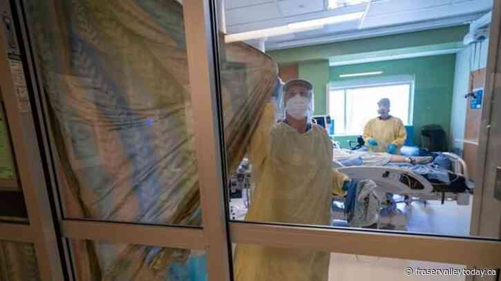 Doctors at Surrey, B.C., hospital raise alarm over staffing and patient-care crisis