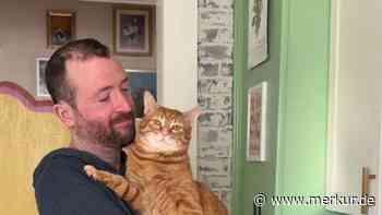„Er ist nachtragend“: Kater mag den neuen Look seines Herrchens nicht