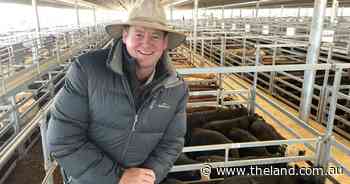 Not enough kill spots as producers offload stock