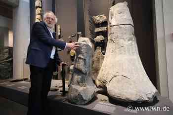 Im Karbon lag Westfalen am Äquator