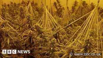 Drugs houses closed for three months after raids