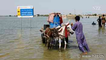INTERVIEW - «Wir sehen 1 °C als gerechter an als 1,5 °C»: Eine Studie definiert Grenzwerte für Klimaerwärmung oder Biodiversität, die nicht nur sicher, sondern auch gerecht sein sollen