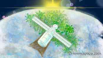 Japan has a wild idea to launch a satellite made of wood in 2024