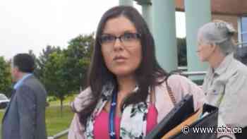 Niagara Catholic school board trustee compares Pride flag to Nazi flag, video shows