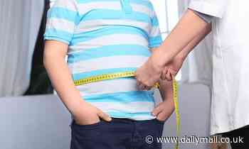 Scientists find a key protein that could help you burn off belly fat and avoid diabetes