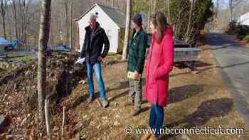 Bill Inspired by NBC CT Responds Investigation Clears House