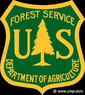 Root disease infestation delays reopening of Hopewell Lake Campground