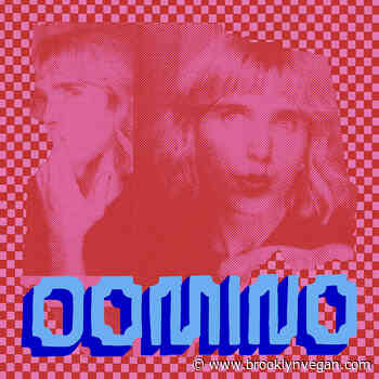 Diners announce Mo Troper-produced LP, touring with Chris Farren (listen to "The Power")