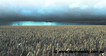 Rainfall totals across the regions