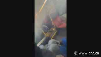 Girl, 14, arrested after firework set off on packed Toronto bus