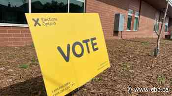 Hamilton's 2022 municipal election 'perfect storm' of printer delays, paper shortages and glitches: auditor