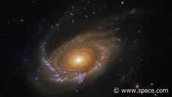 Hubble captures starry tentacles of faraway 'jellyfish galaxy' in stunning detail (photo)