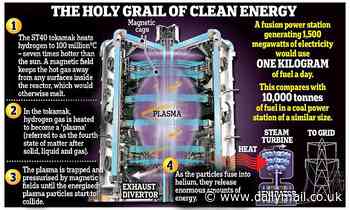 Nuclear fusion breakthrough: 'Holy grail' of power production is closer to reality